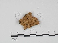 登錄號:F0015582藏品圖，第1張