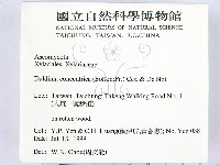 登錄號:F0015584藏品圖，第2張