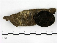 登錄號:F0015584藏品圖，第1張