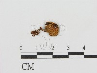 登錄號:F0015585藏品圖，第1張