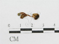 登錄號:F0015586藏品圖，第3張