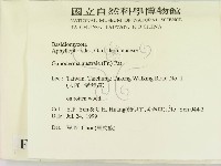 登錄號:F0015589藏品圖，第2張