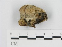 登錄號:F0015589藏品圖，第1張