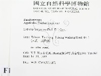 登錄號:F0015591藏品圖，第2張