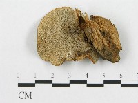 登錄號:F0015594藏品圖，第1張