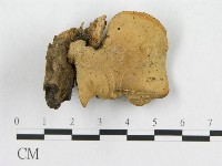 登錄號:F0015594藏品圖，第3張