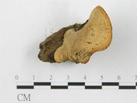 登錄號:F0015594藏品圖，第4張