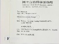 登錄號:F0015595藏品圖，第2張