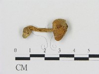 登錄號:F0015596藏品圖，第3張