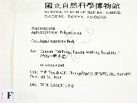 登錄號:F0015598藏品圖，第2張