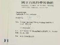 小菇屬藏品圖，第2張