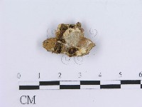 登錄號:F0015600藏品圖，第3張