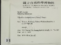 登錄號:F0015601藏品圖，第2張