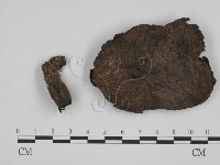 登錄號:F0015601藏品圖，第1張