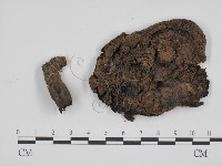 登錄號:F0015601藏品圖，第3張