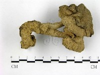登錄號:F0015608藏品圖，第1張