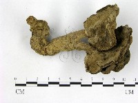 登錄號:F0015608藏品圖，第3張