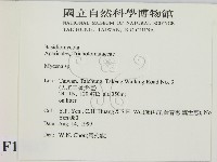 小菇屬藏品圖，第2張