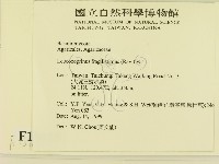 登錄號:F0015615藏品圖，第2張