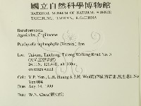 登錄號:F0015616藏品圖，第2張