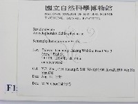裂褶菌藏品圖，第2張