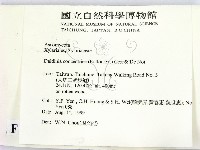 登錄號:F0015619藏品圖，第2張