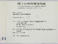 登錄號:F0015622藏品圖，第2張