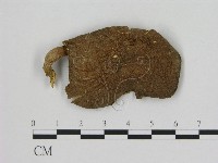 登錄號:F0015622藏品圖，第1張