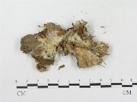 登錄號:F0015623藏品圖，第3張