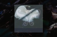 登錄號:F0015624藏品圖，第4張