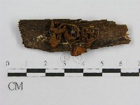 登錄號:F0015625藏品圖，第1張