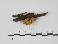 登錄號:F0015626藏品圖，第1張