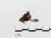 登錄號:F0015627藏品圖，第3張