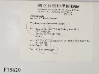 登錄號:F0015629藏品圖，第2張