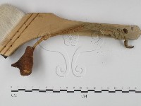 登錄號:F0015629藏品圖，第3張