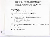 登錄號:F0015630藏品圖，第2張
