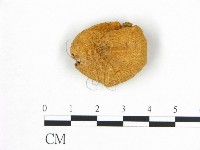 登錄號:F0015630藏品圖，第1張