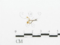 登錄號:F0015631藏品圖，第1張