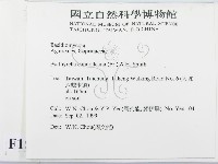 登錄號:F0015632藏品圖，第2張