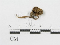 登錄號:F0015633藏品圖，第3張