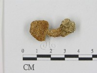 登錄號:F0015634藏品圖，第1張