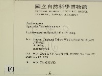 登錄號:F0015635藏品圖，第2張