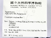 登錄號:F0015636藏品圖，第2張