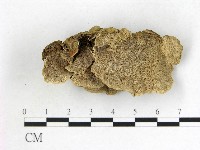 登錄號:F0015636藏品圖，第1張