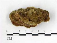 登錄號:F0015636藏品圖，第3張