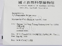 相鄰小孔菌藏品圖，第2張