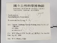 登錄號:F0015639藏品圖，第2張