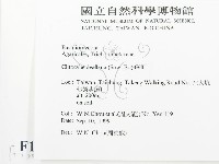 登錄號:F0015641藏品圖，第2張