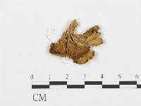 登錄號:F0015641藏品圖，第3張