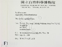 登錄號:F0015642藏品圖，第2張